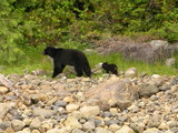 2006-07 Tofino